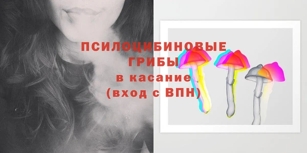 2c-b Козельск
