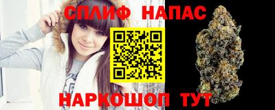 гидра Абинск